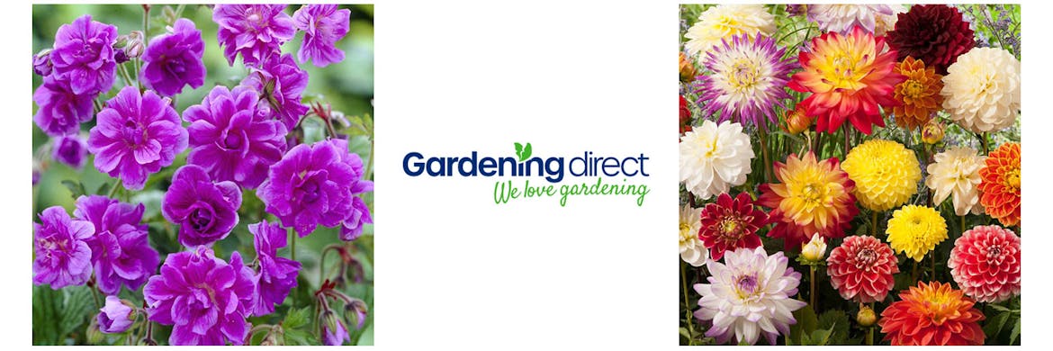 Gardening Direct Discount Codes 2022