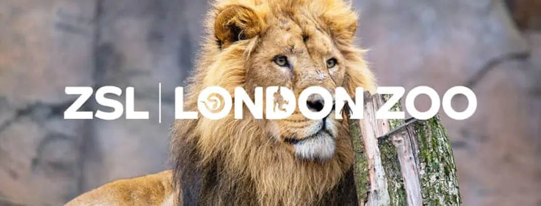 LONDON ZOO Promo Codes Deals 15 Off In April 2023