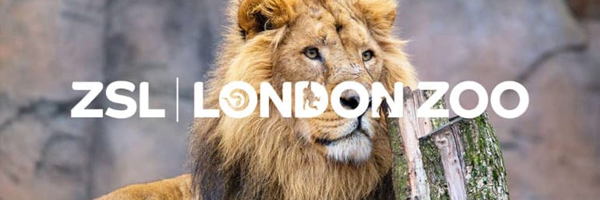 London Zoo Promo Codes 2022