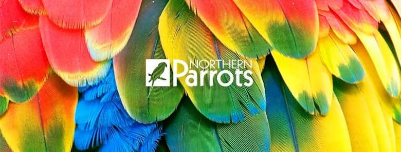 Northern Parrots discounts