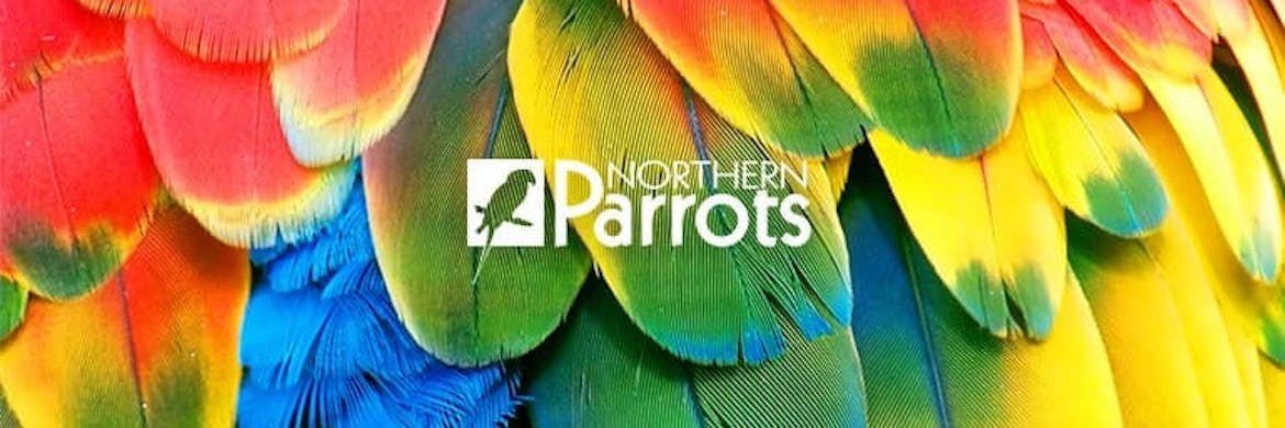 Northern Parrots Discount Codes 2022