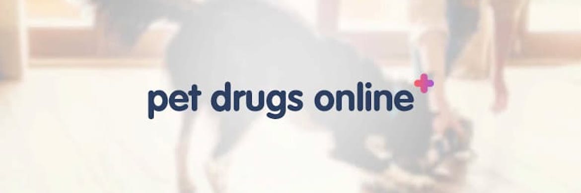 Pet Drugs Online Discount Codes 2022