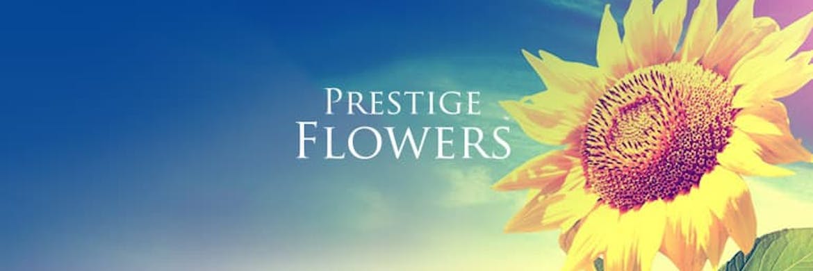 Prestige Flowers Discount Codes 2022