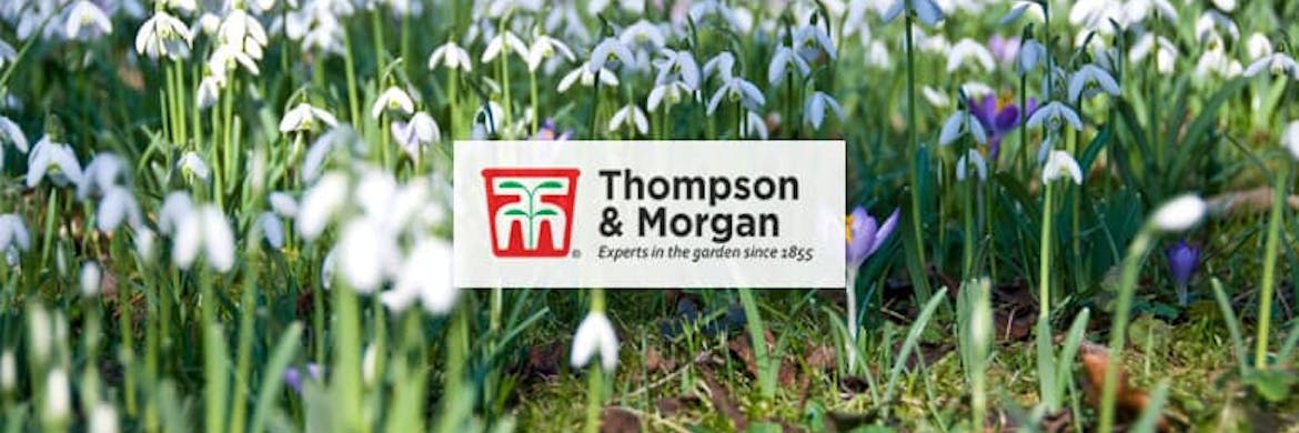 Thompson and Morgan Voucher Codes 2022