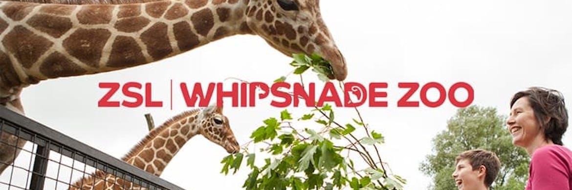 Whipsnade Zoo Promo Codes 2022