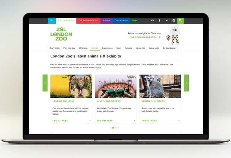 Rediscover London's Zoo