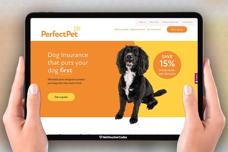 pet insurance for cats and dogs