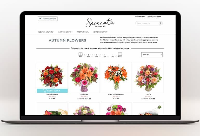 serenata flowers autumn flowers