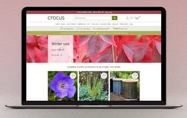 Crocus homepage